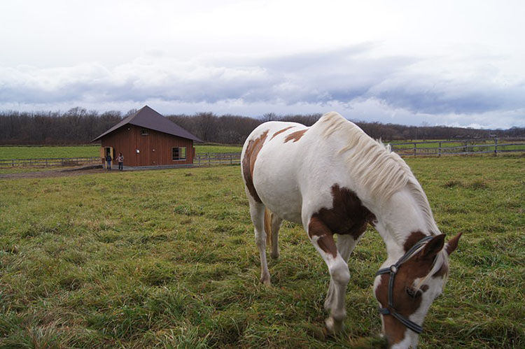 Barn House | co+labo radovic @ Keio