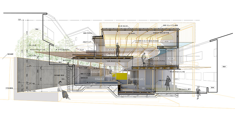 Blue Box Office - Sectional Perspective